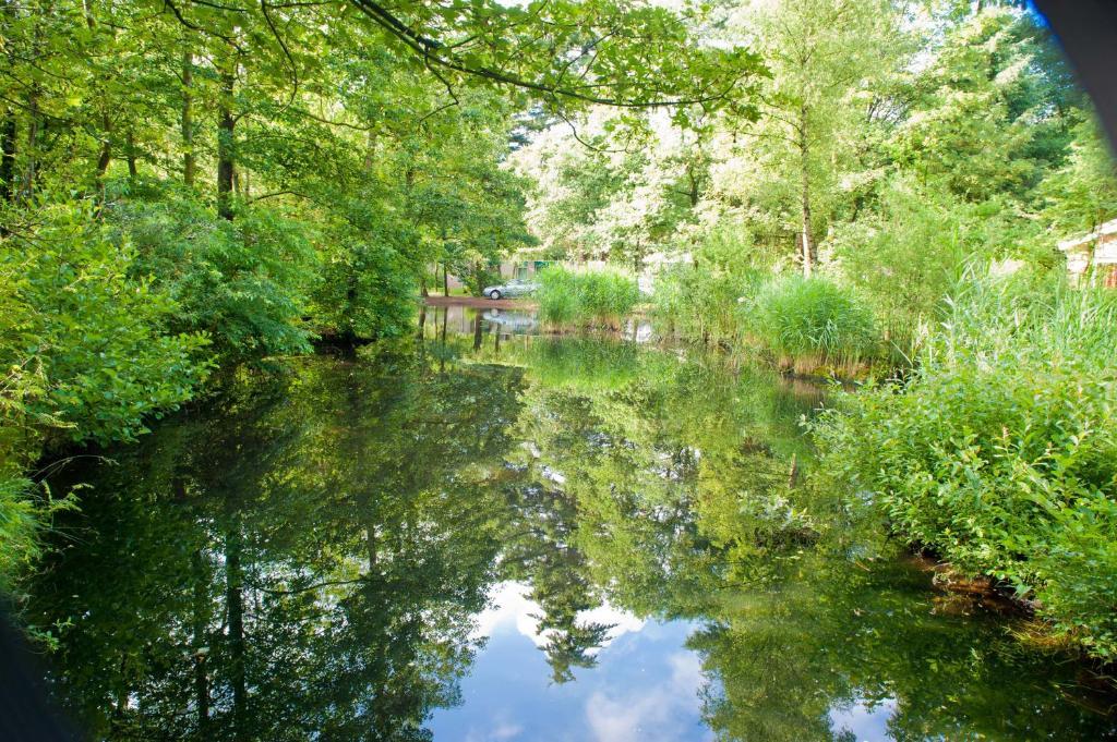 Vakantiepark De Berkenhorst Kootwijk Exteriér fotografie